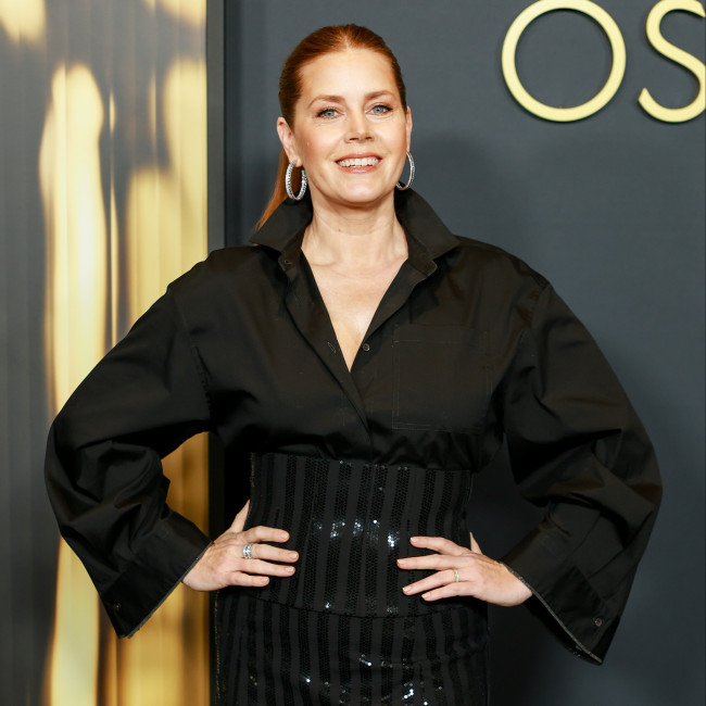 Amy Adams drew on own experiences of exhaustion for new movie