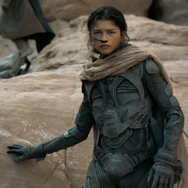 Zendaya got heatstroke while filming Dune: Part 2