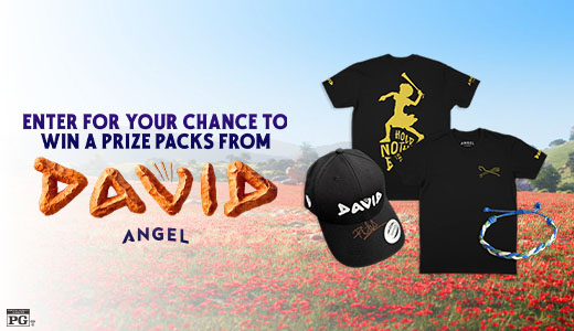 David Prize Pack Contest