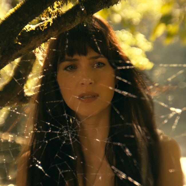 Spider-Man wider universe getting 'fresh reboot'